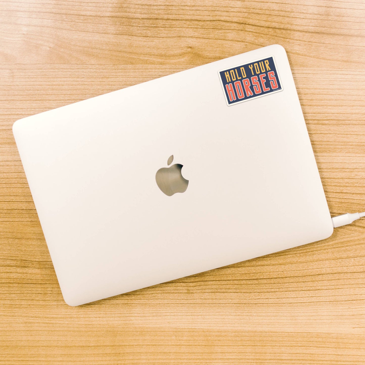 Hold Your Horses Sticker