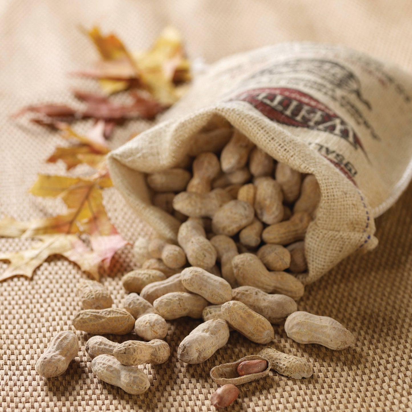 Burlap Bag Salted Roasted-N-Shell Peanuts - 24 oz.