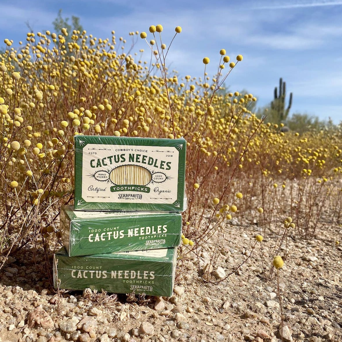 Cactus Needle Toothpicks