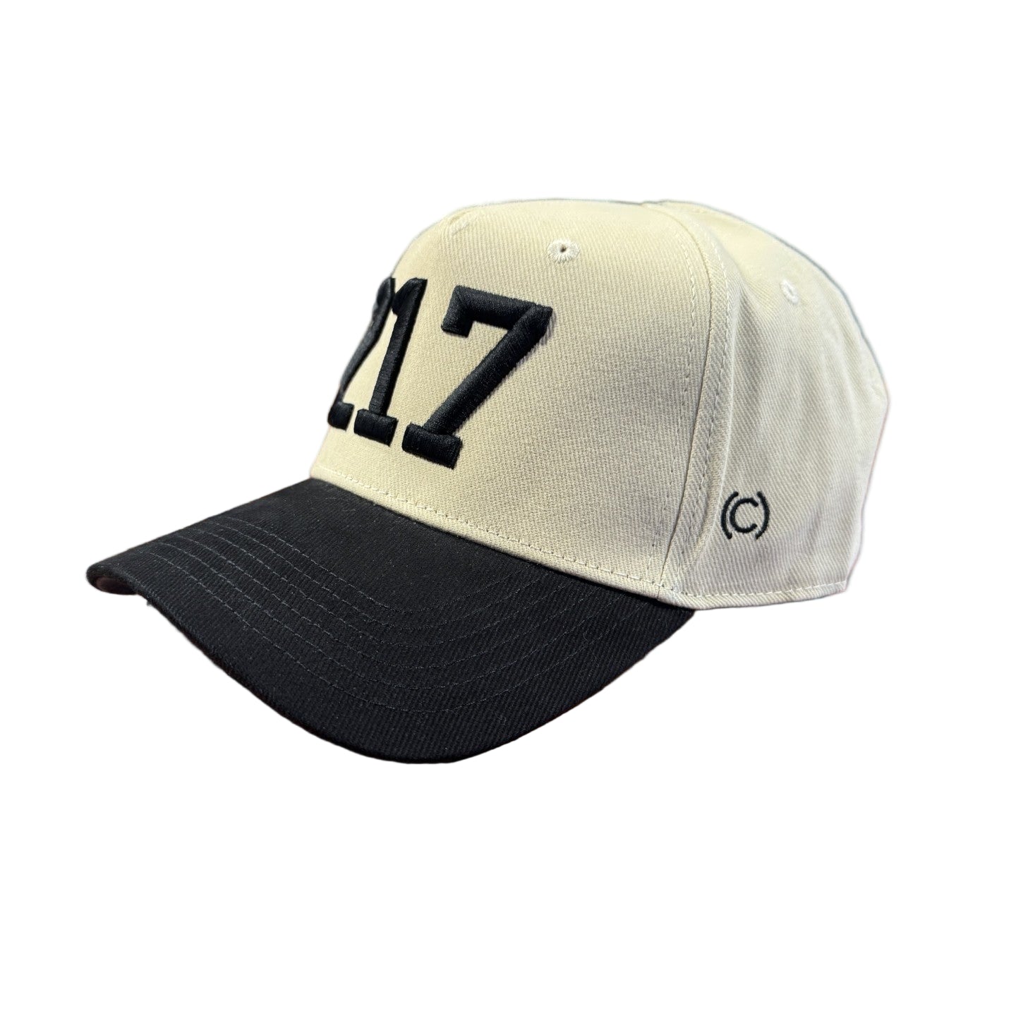 217 Snapback Hat