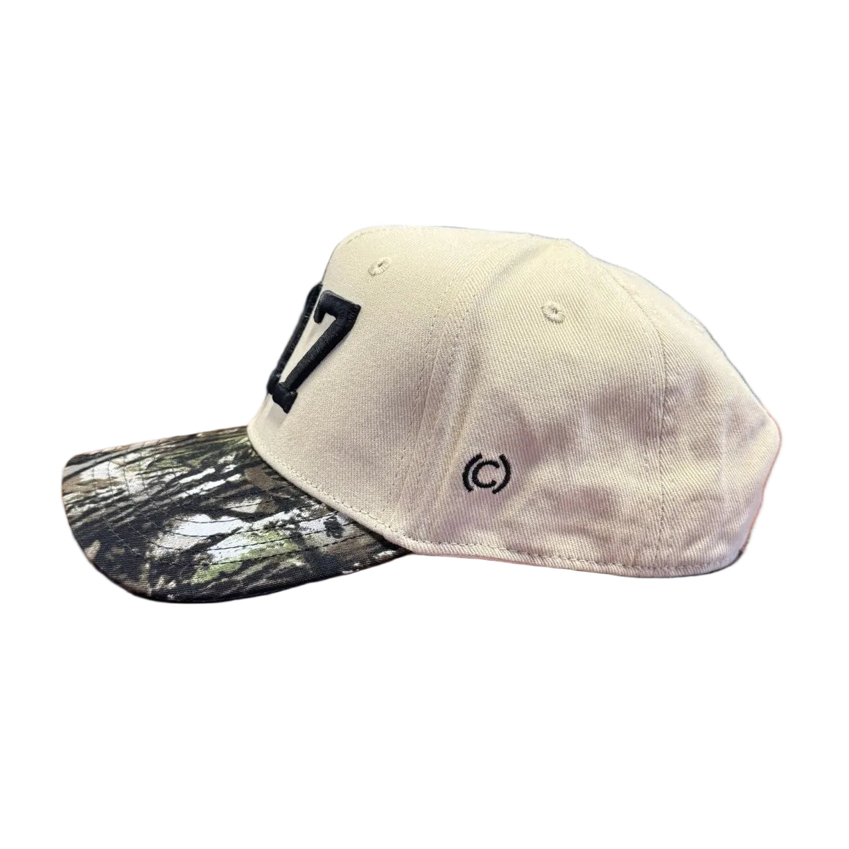 217 Camo Snapback Hat