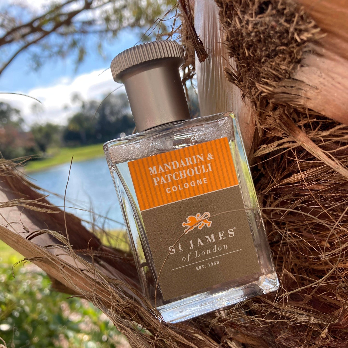 Mandarin & Patchouli Cologne 50ml (alcohol-free)