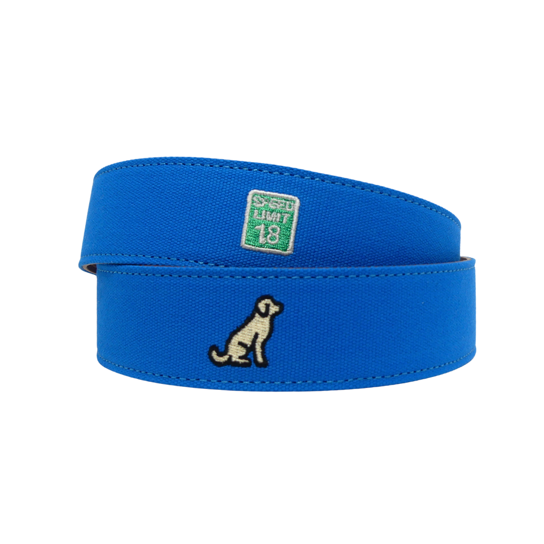 Roostas The HYDR Embroidered Belt