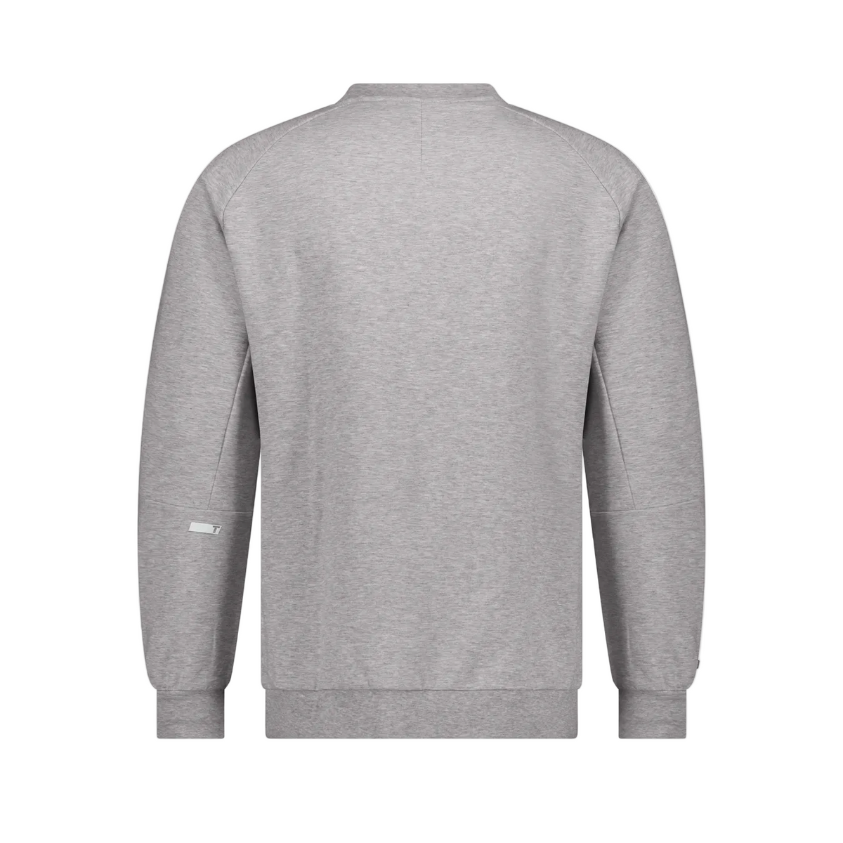 TRUE Heather Grey Future Staples Crewneck