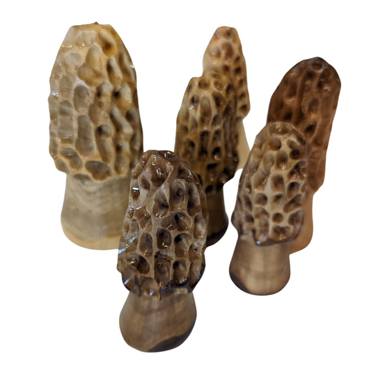 Hand Carved Wood Morel Mushroom