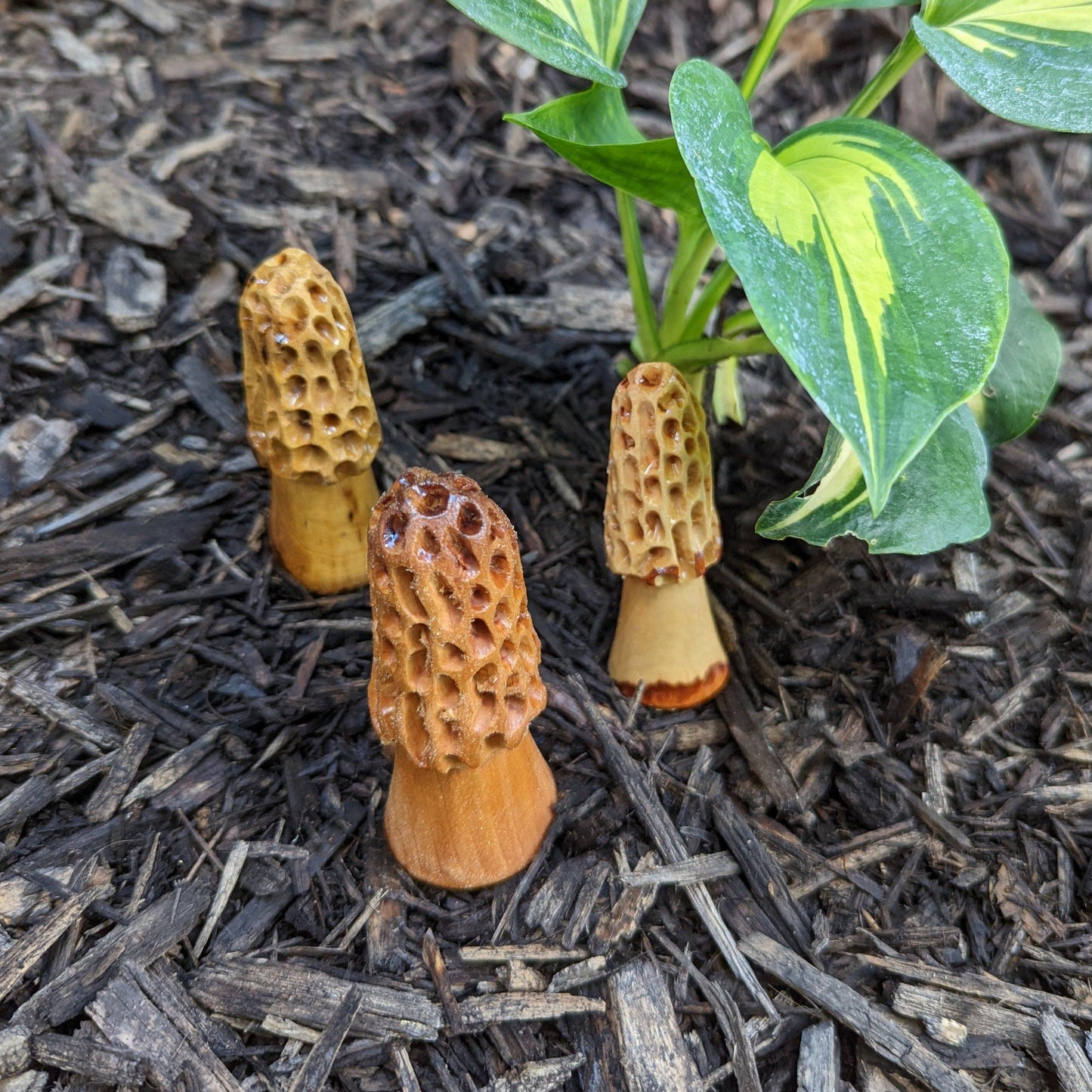 Hand Carved Wood Morel Mushroom