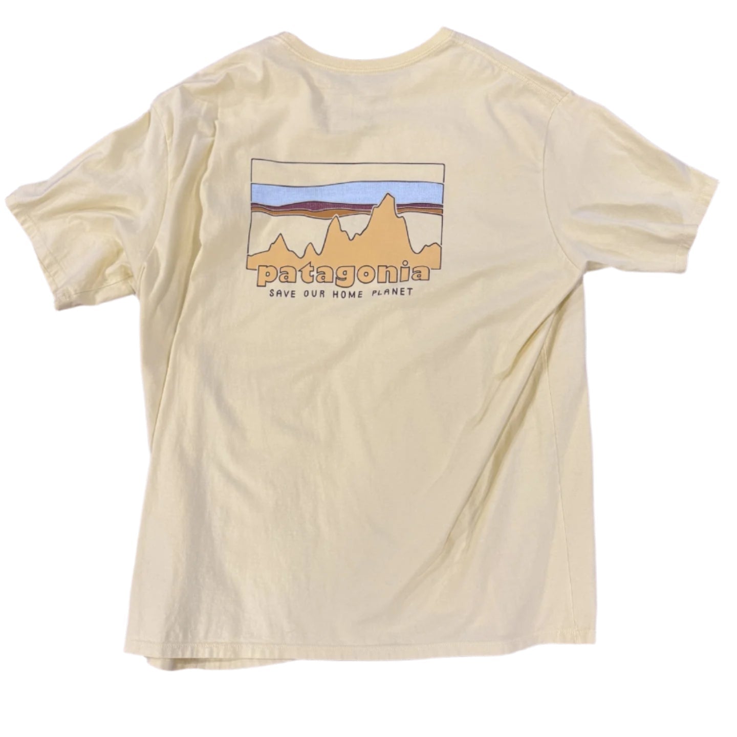 Patagonia Organic T-Shirt